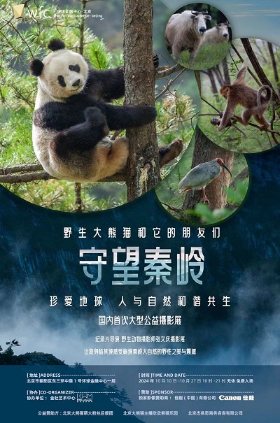 “守望秦嶺 野生大熊貓和它的朋友們”大型公益攝影展聚焦環(huán)境保護(hù)與生物多樣性監(jiān)測